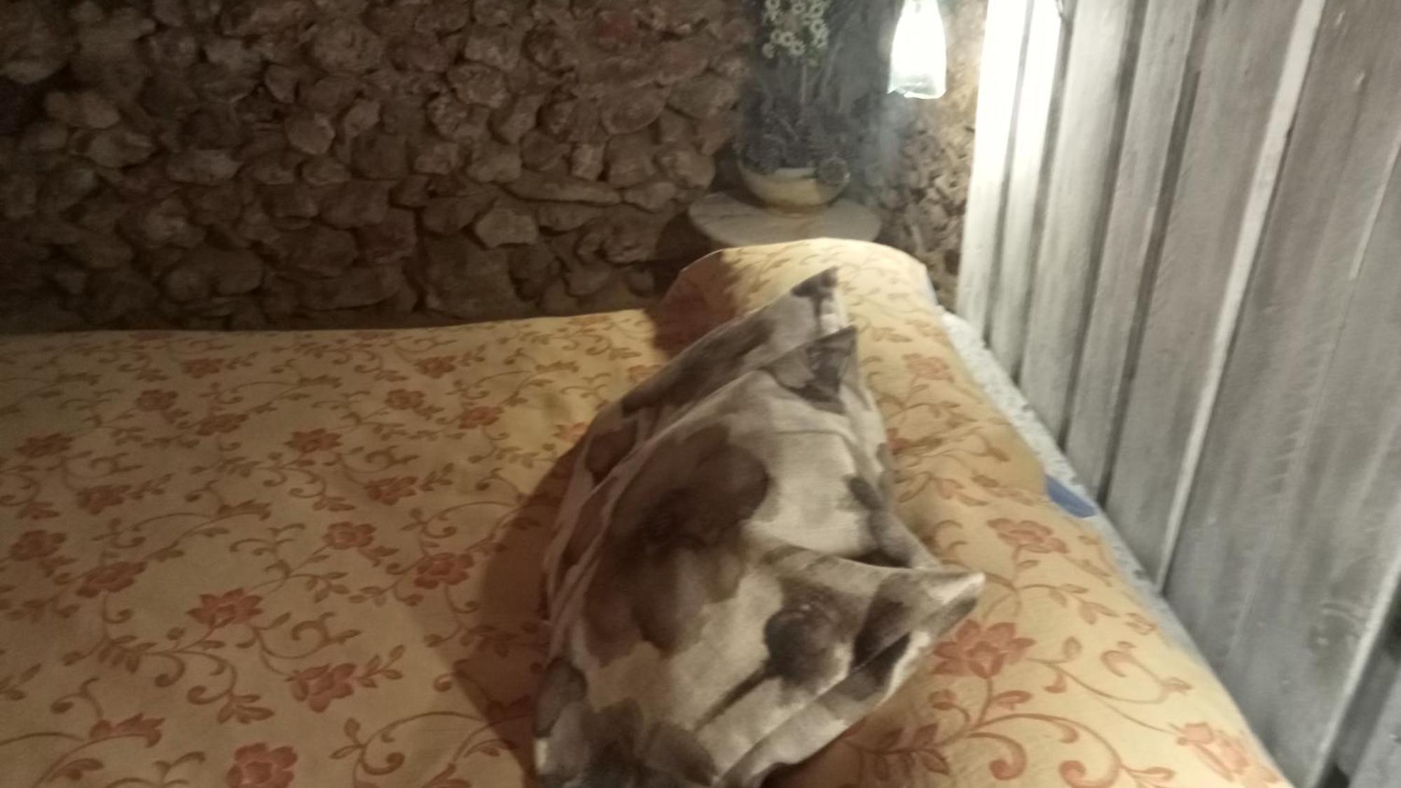 Habitacion En Ocana Dış mekan fotoğraf